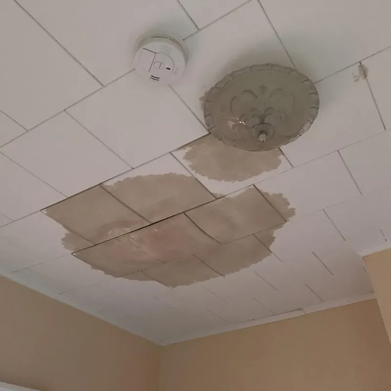 Ceiling Water Damage Repair in Huntington, NY
